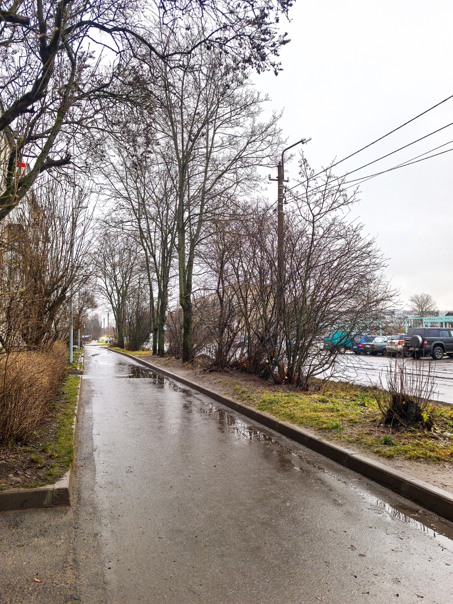 9 декабря 2025 года