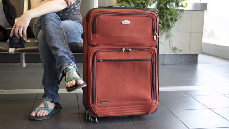     Чемодан. СС0