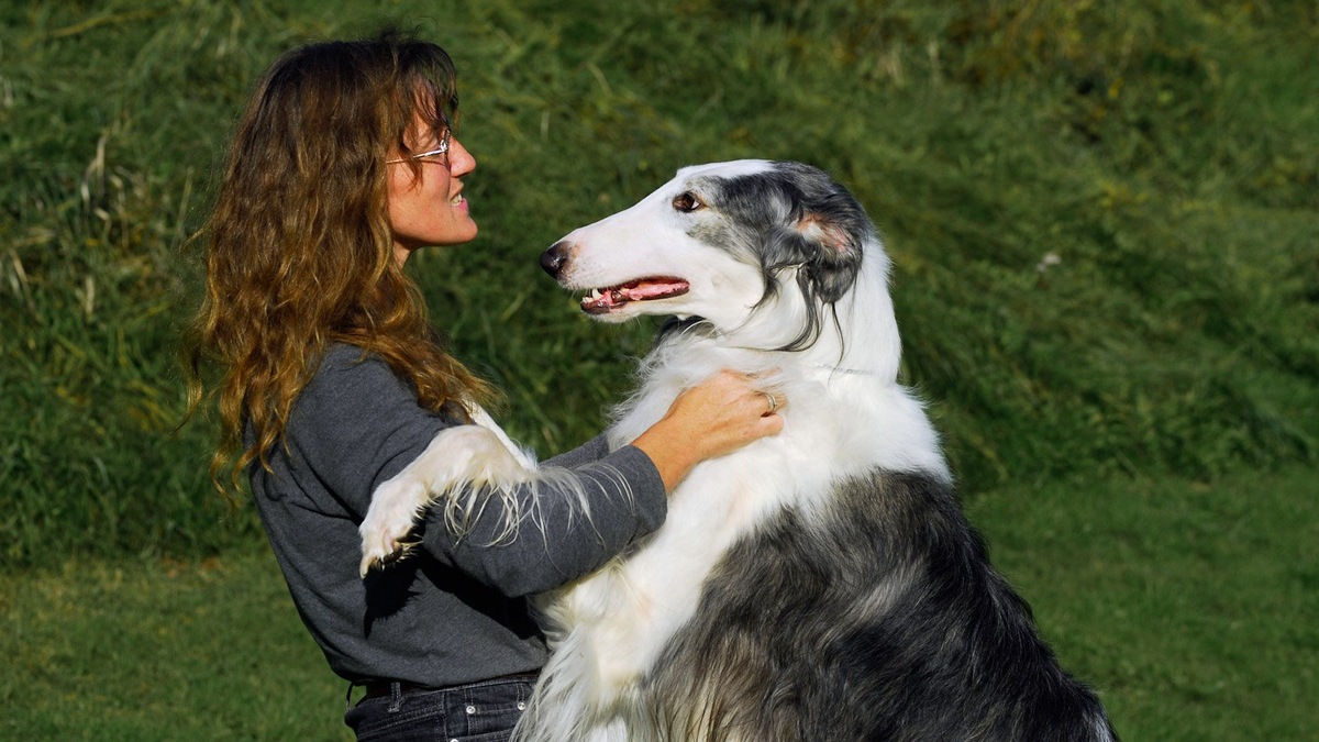    Характер всех собак породы нельзя подбирать «под одну гребенку»