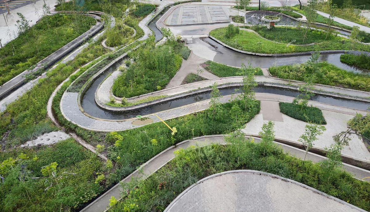 Фото: коллаж РСИ