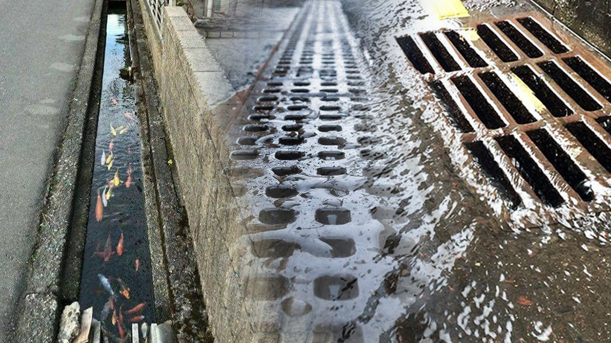 Фото: коллаж РСИ