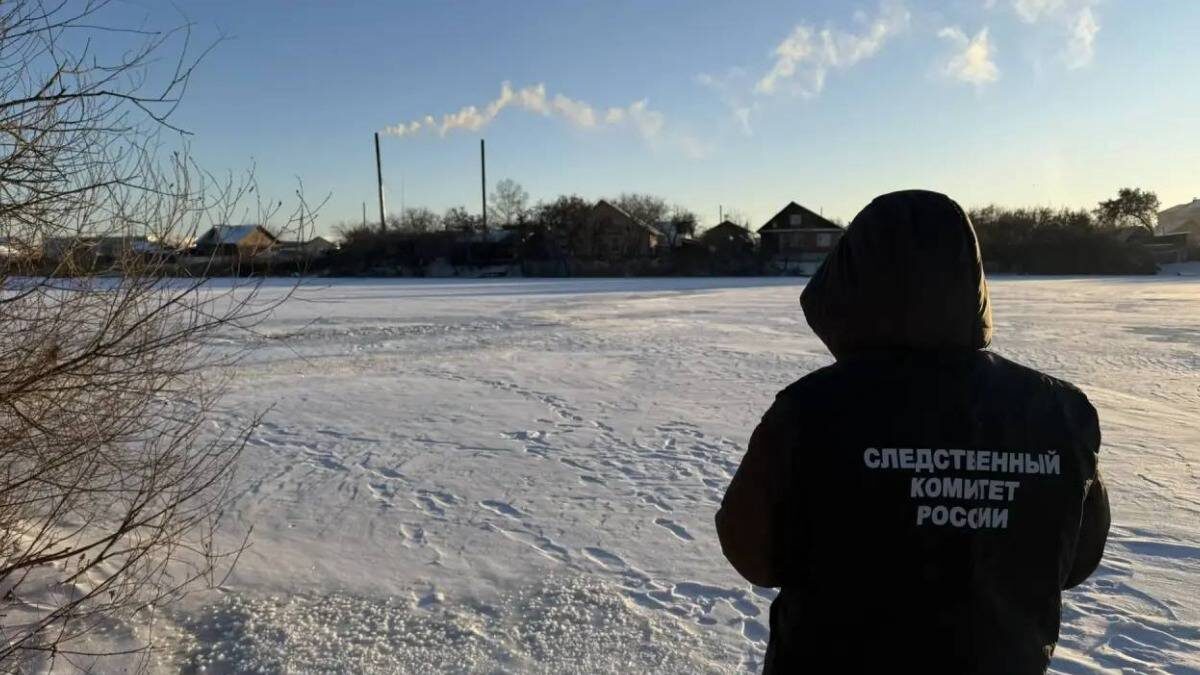    Фото: СКР Курганской области