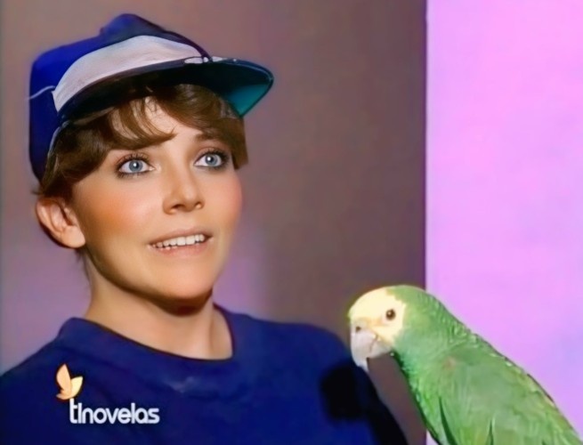 Любимый мексиканский сериал Дикая Роза 