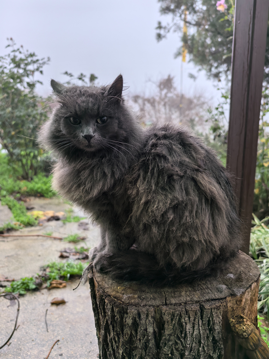 Ты заходи, если что, я пока дом посторожу