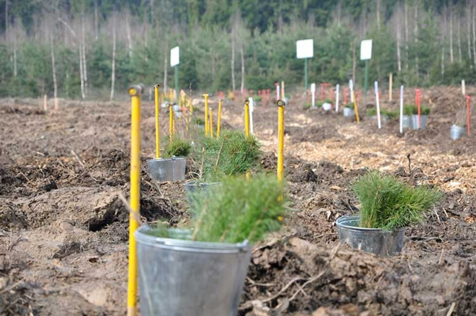 Фото: Пресс-служба Рослесхоза
