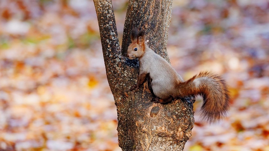    Фото © Дмитрий Дубинский / Абзац
