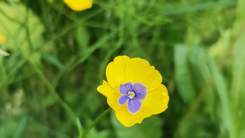 Странный человек