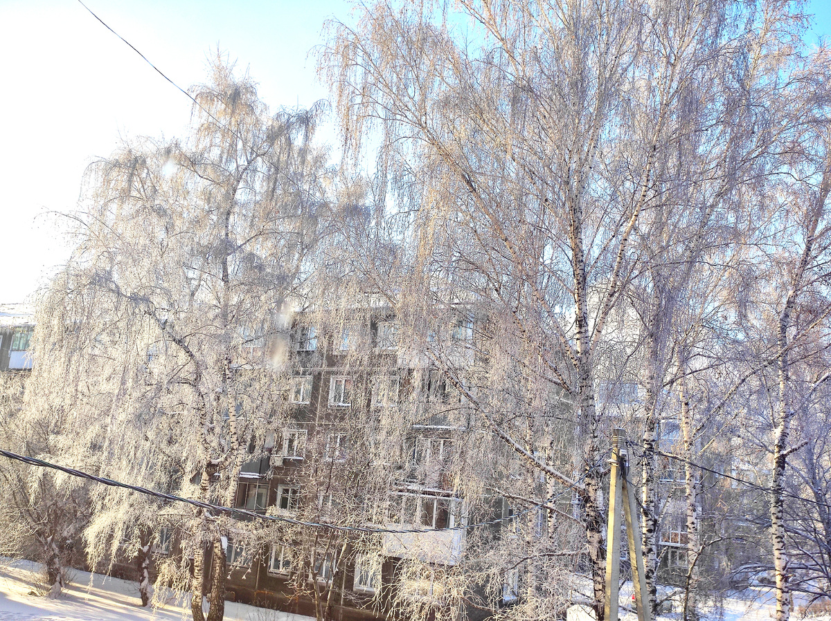 Утро . Фото автора 