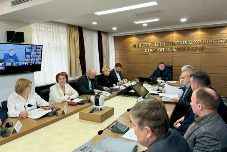    Фото: Филиал Россельхозцентра по Ставропольскому краю