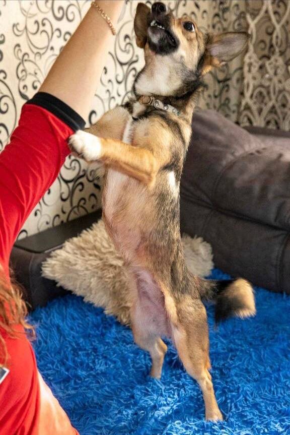 Моя любимка Лайма