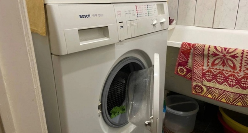    Автор фото - Анна Ефимова