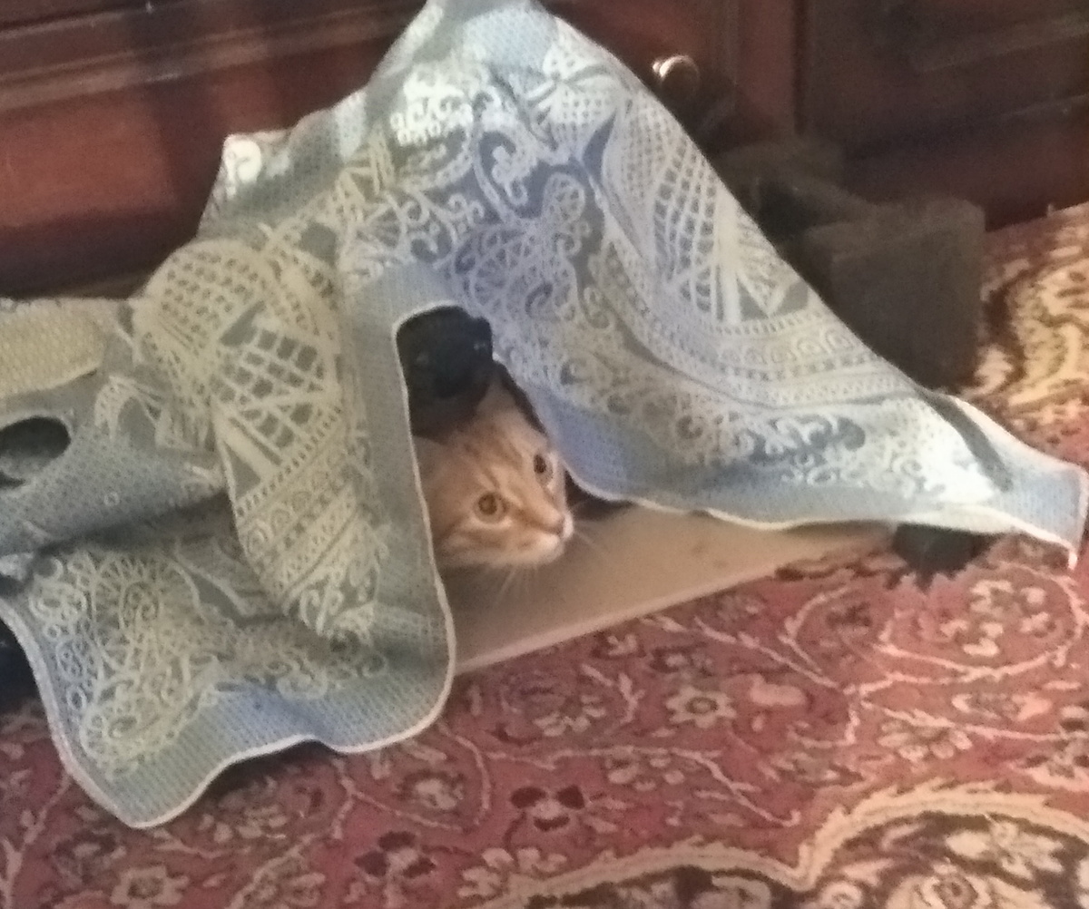 Личное фото