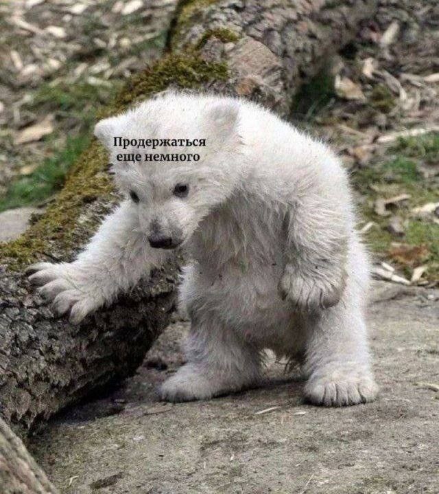 $FNXS — наш символ, но не призыв к действию. Решение за вами🔥