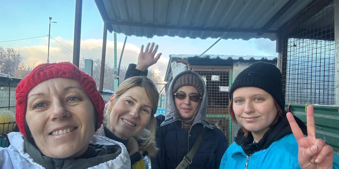 Почему мы каждый день выбираем помощь бездомным животным