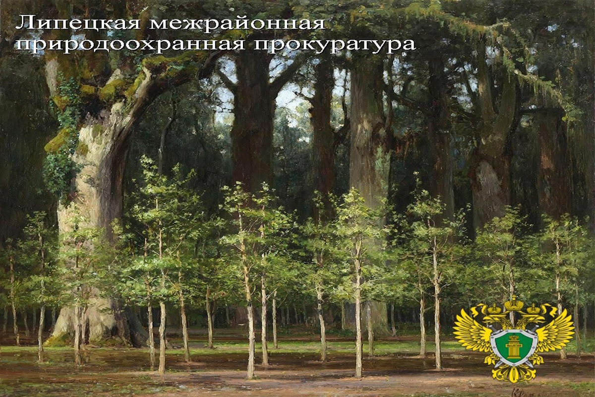    Фото: Прокуратура Липецкой области, источник: t.me/Prok48