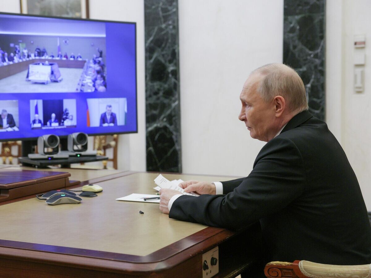    Президент РФ Владимир Путин в режиме видеоконференции принимает участие в заседании Совета при президенте РФ по развитию гражданского общества и правам человека | © РИА Новости / POOL