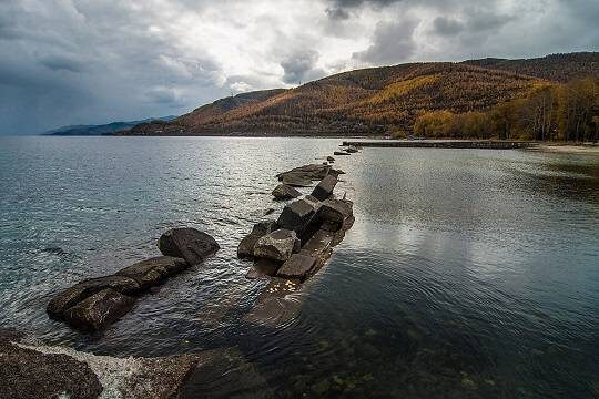    Госдума запретила сплошные рубки леса на Байкале