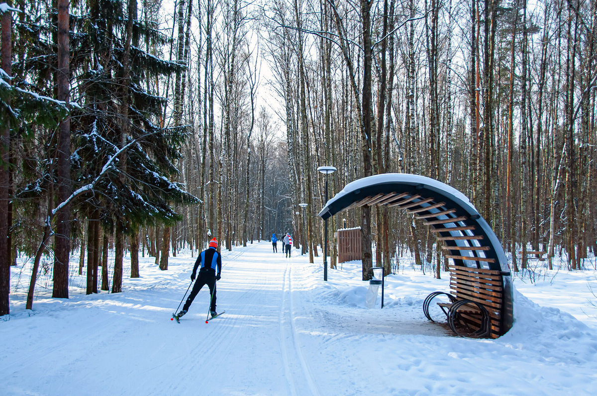 В Мещерском парке работают три пункта проката: у входов №№4, 6 и 7. Фото: Nikita Nikitenko / Unsplash