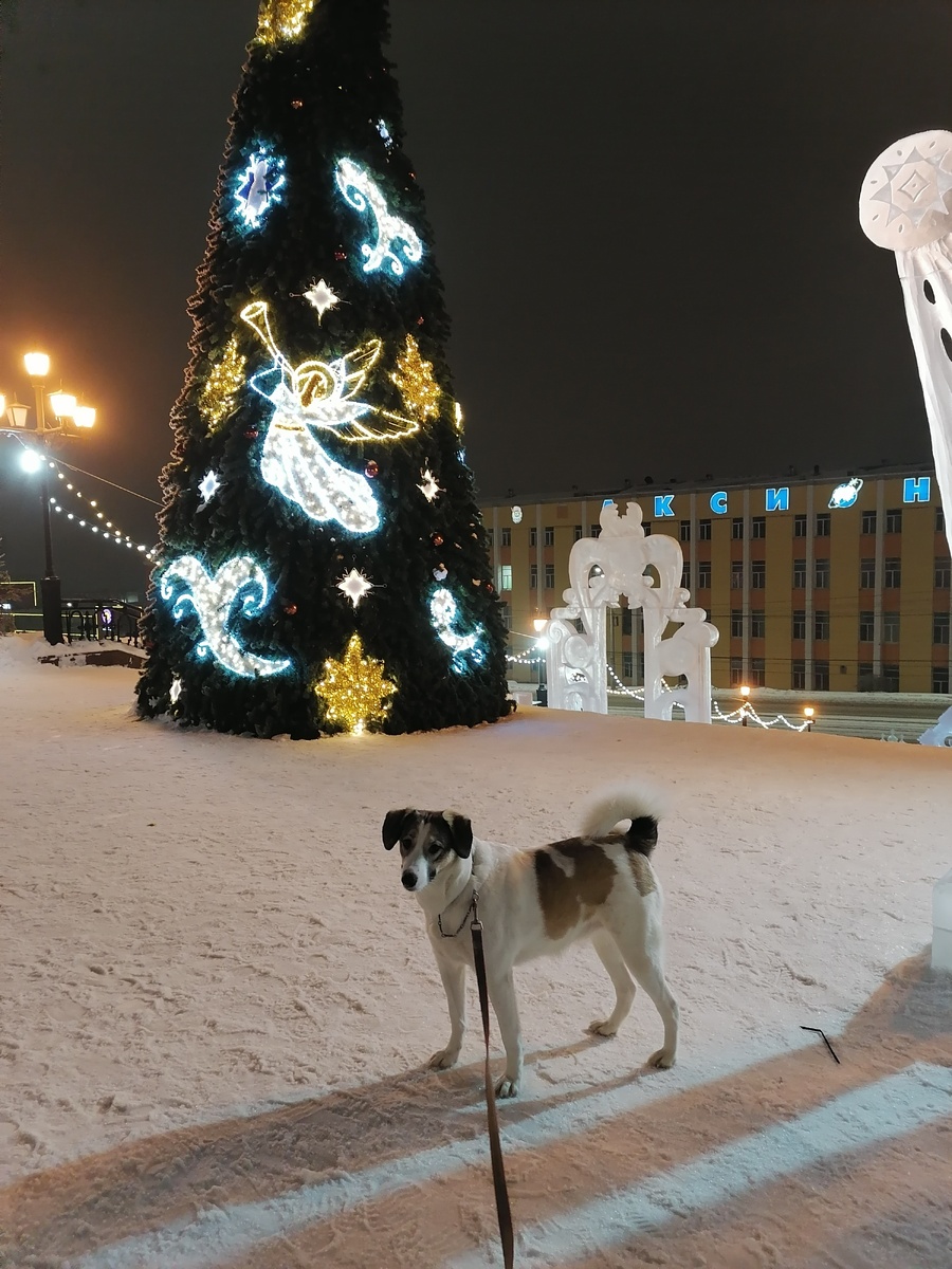 Фото автора