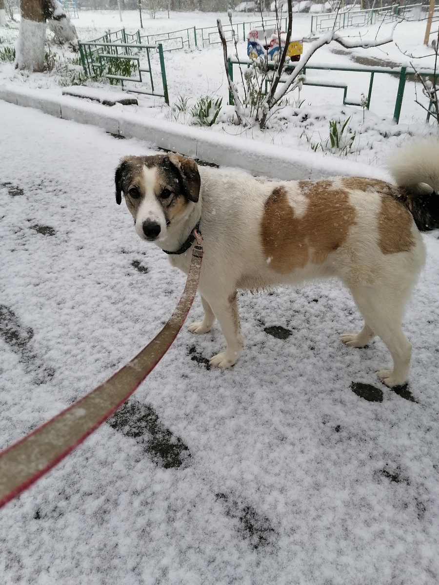 Фото автора