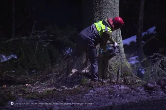    Фото: Telegram-канал губернатора Петербурга Александра Беглова.