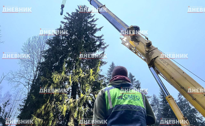    © Екатерина Горшкова / «Петербургский дневник»