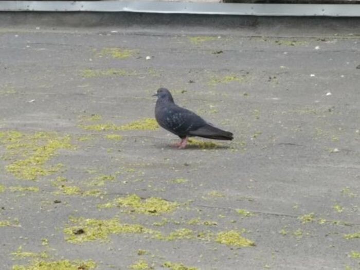 Иллюстрация: © «Панорама»