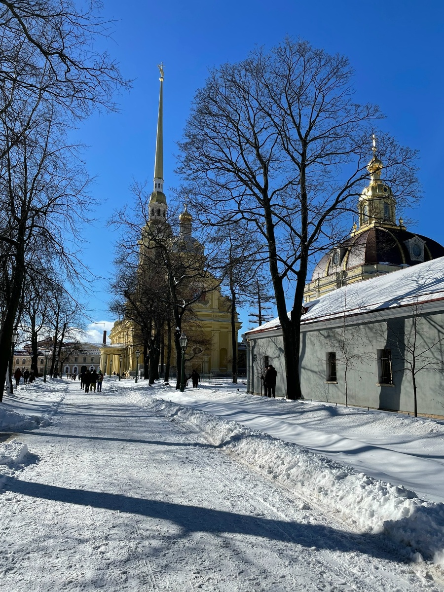 Вид на Петропавловский собор, фото автора