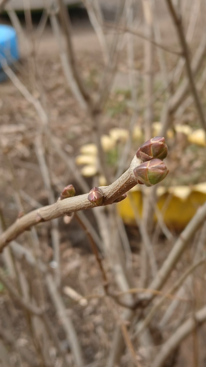 Фото автора в декабре 