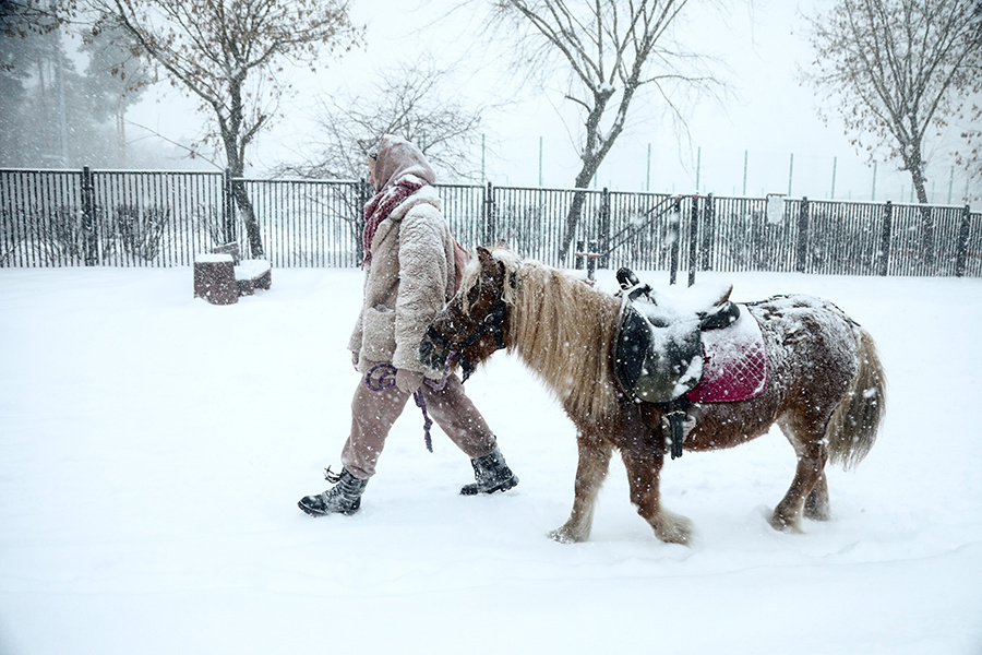    ©Агентство городских новостей "Москва"