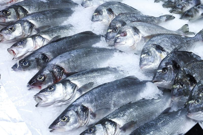    Сергей Петров/NEWS.ru