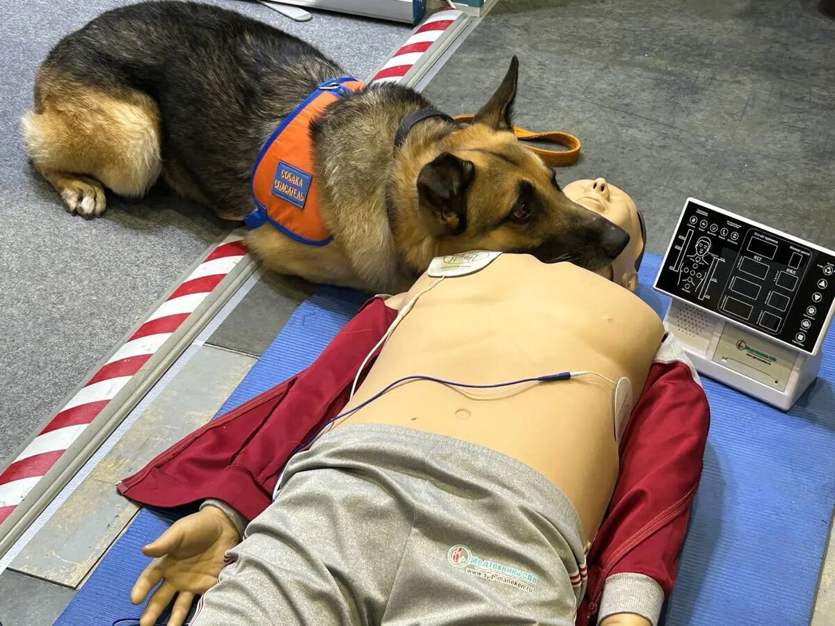    Фото: Мойка78