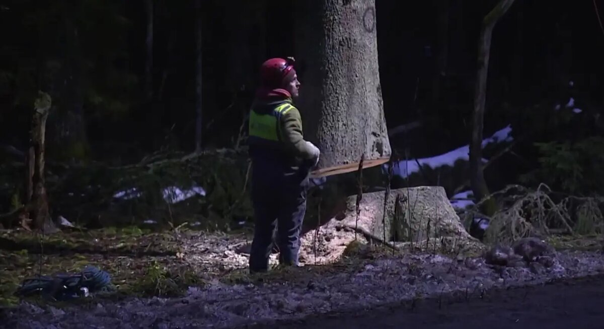    Фото: стоп-кадр видео от пресс-службы губернатора Петербурга