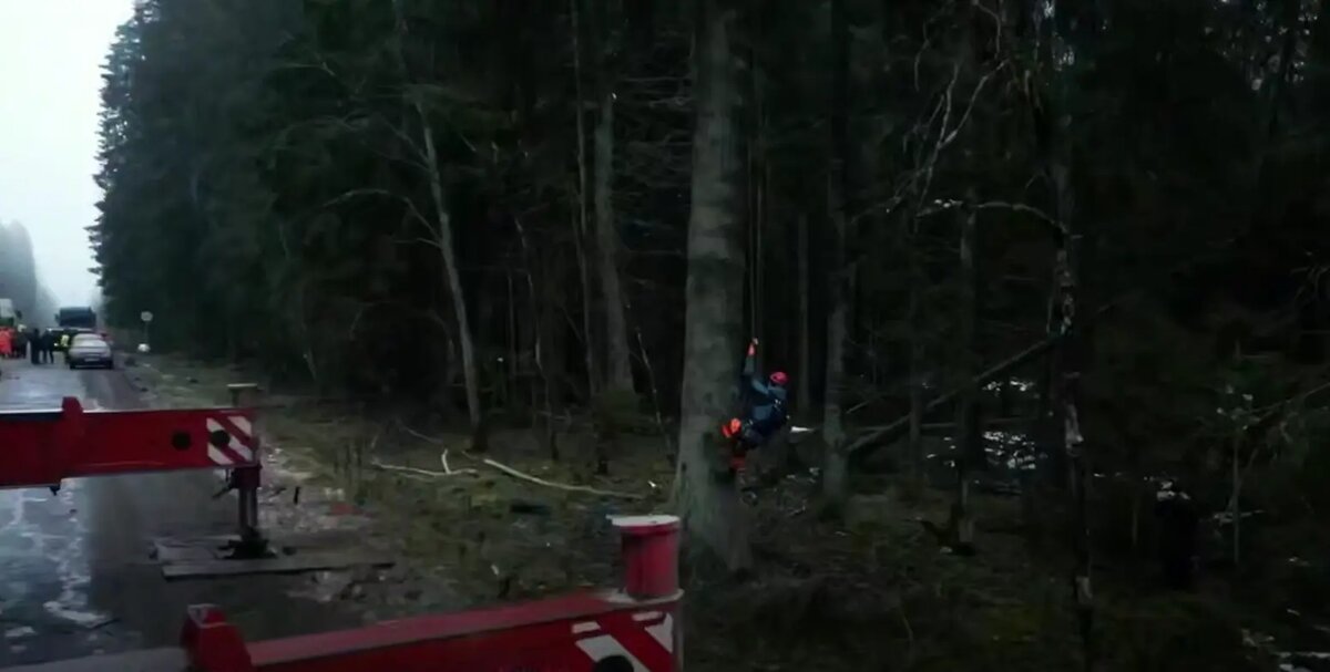    Фото: стоп-кадр видео от пресс-службы губернатора Петербурга