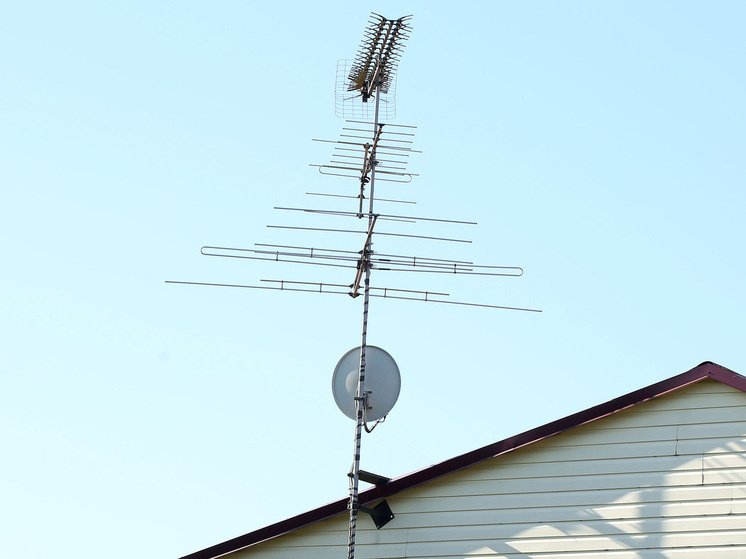   Лилия Шарловская