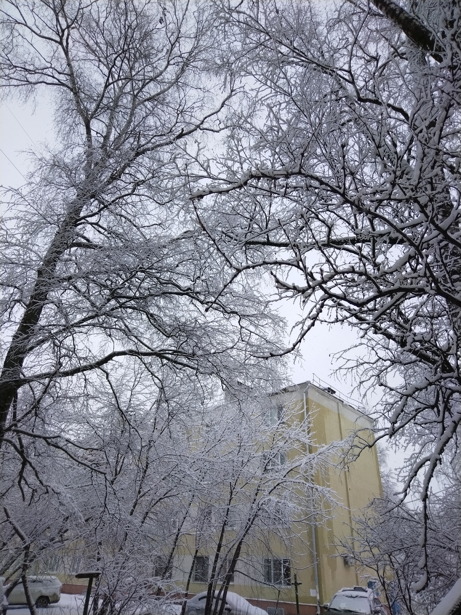 Просто для иллюстрации. Ждем снега. Обещали до конца недели 