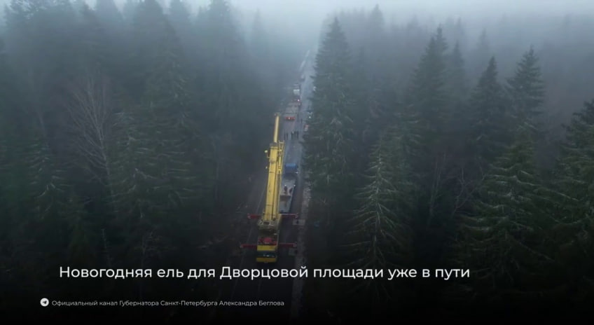 Фото: пресс-служба Смольного