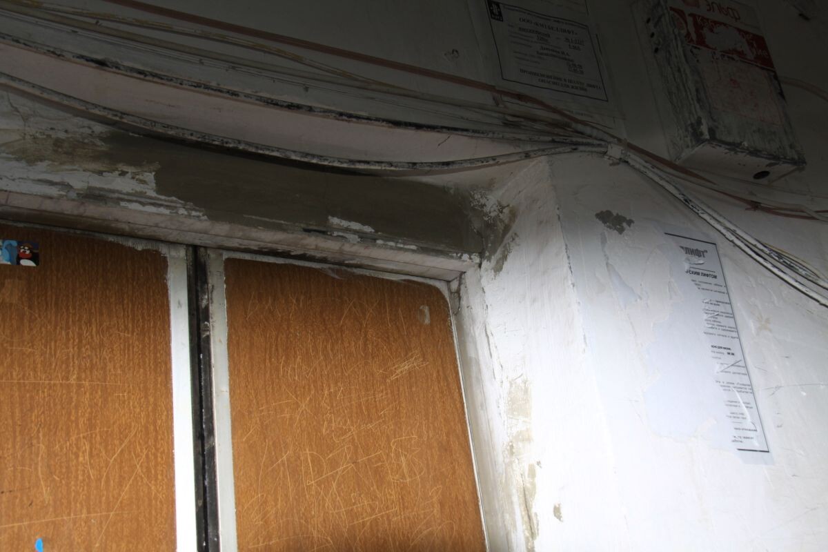    Фото: Алексей Чухланцев