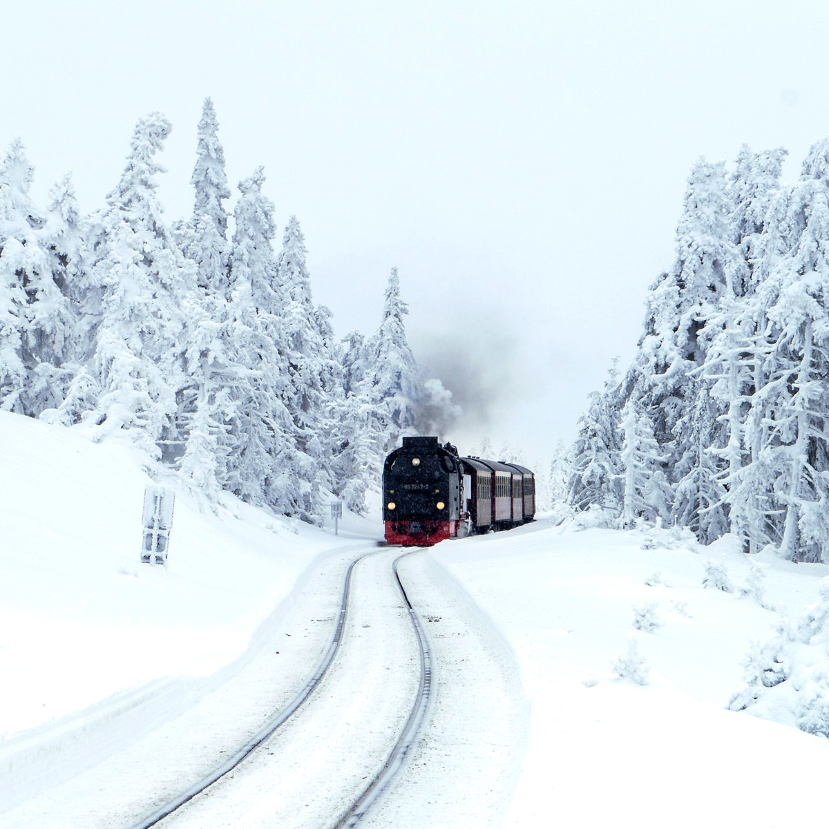 Источник фото - pixabay.com, автор -Tilgnerpictures