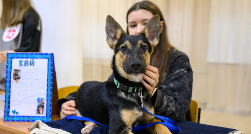    Фото: Дворца творчества детей и молодежи Воркуты