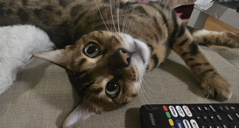    Фото Анастасии Дмитриевой