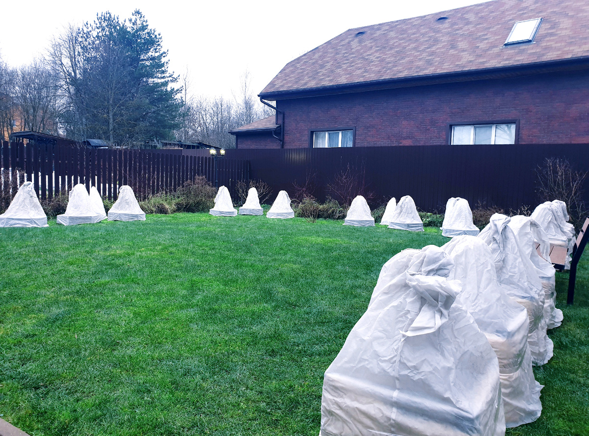 Так выглядит газон в декабре. Все мои газоны уже давно пострижены перед зимовкой. Стригла в середине ноября. Это фото сделано 9 декабря 2025 г.