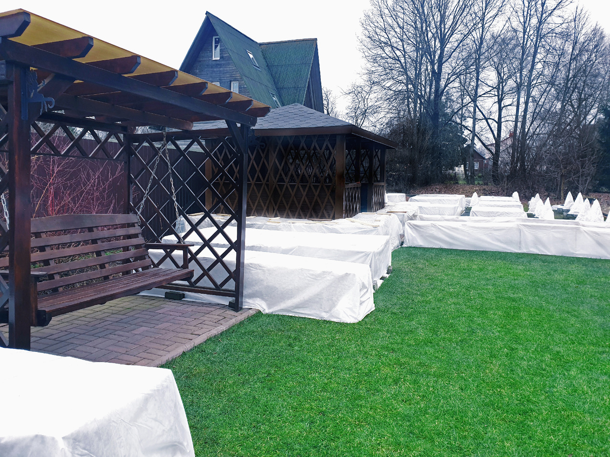 Укрытия с плетистыми розами у беседки и у качелей. 9 декабря 2025 г.