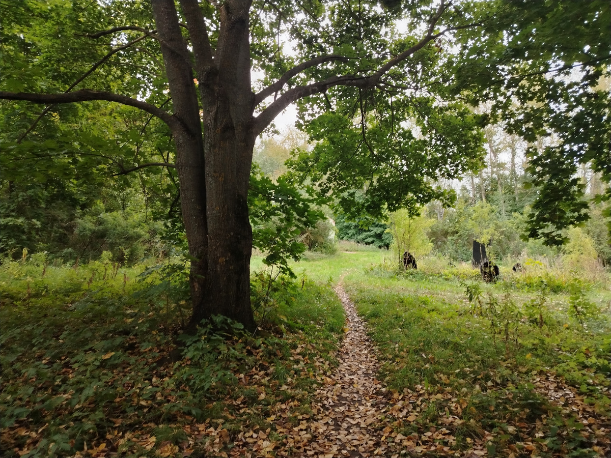 Архив. Из сентябрьский поездки по поискам Коти Валентины Тихоновны. 