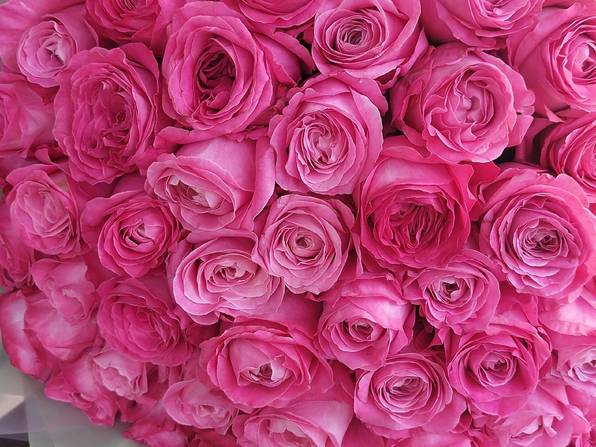 букет подареный мне на день рождения .