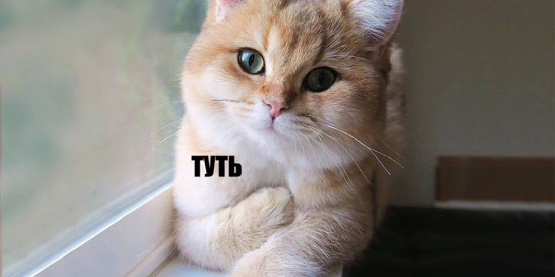 Где у кота мурчало, зачем оно ему надо, и как оно работает