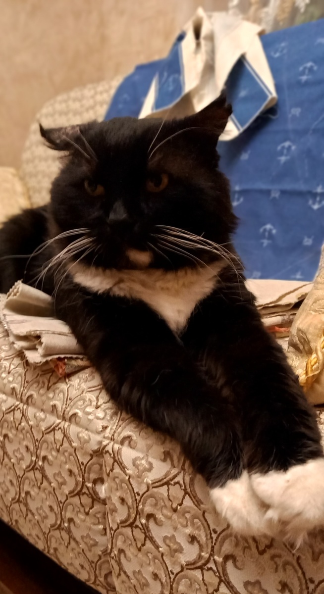 Фото автора