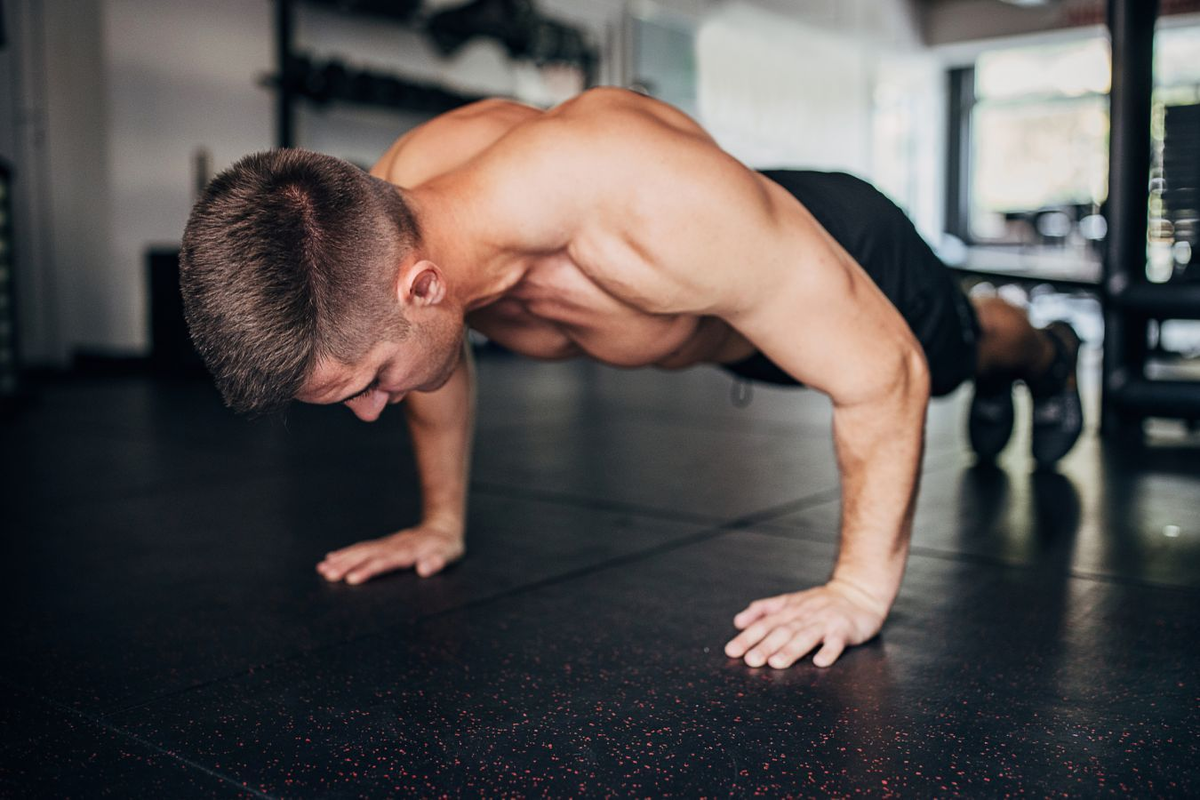 Источник:barfits.ru