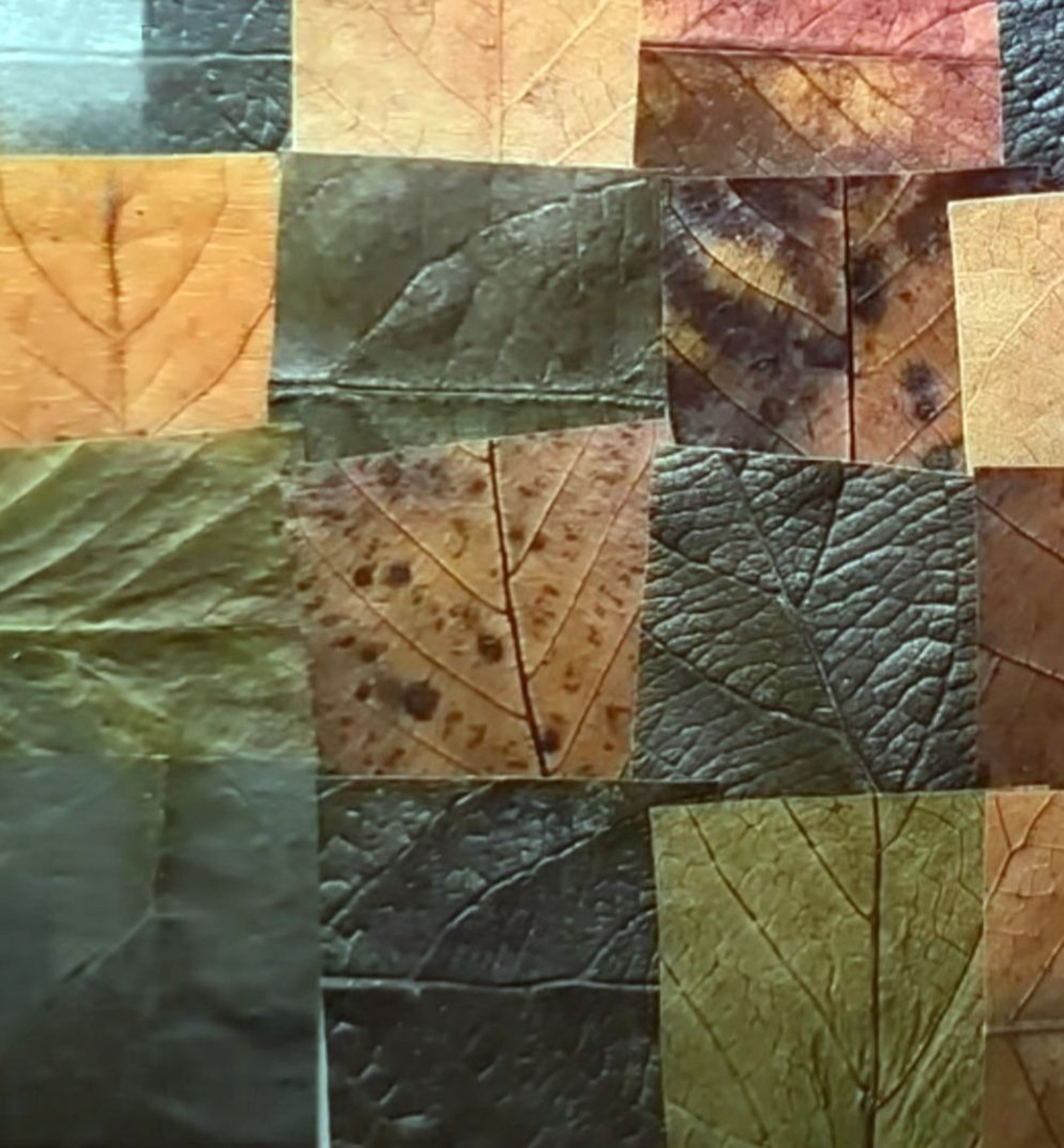 Фото: Галина РОДИОНОВА