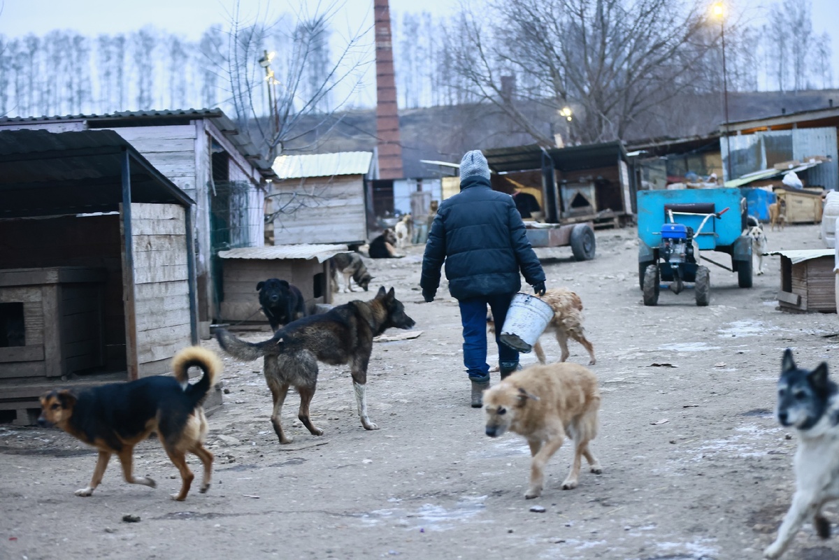    Павел Хацаюк / ИД «Вечерняя Казань»
